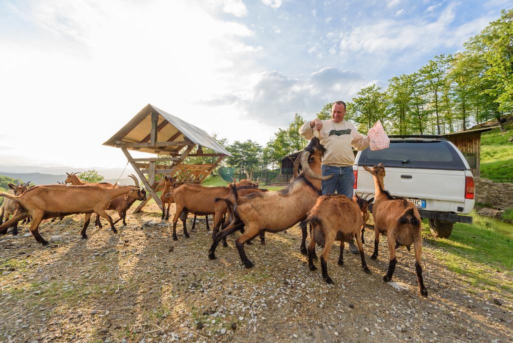 Agriturismo Casapasserini Londa Екстериор снимка